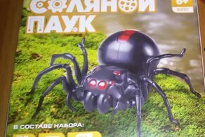 Чем заняться на самоизоляции