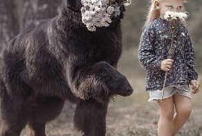 С добрым утром!