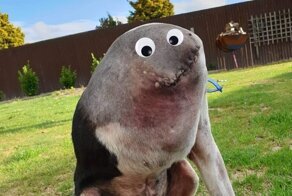 Не верь глазам своим: странная фотография сбила с толку пользователей Imgur