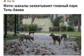 Мир после COVID-19: природа быстро отвоёвывает своё