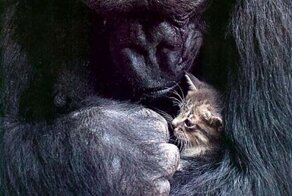 С добрым утром!