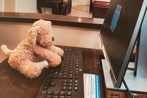Девочка забыла в отеле плюшевого друга, но сотрудники о нём позаботились