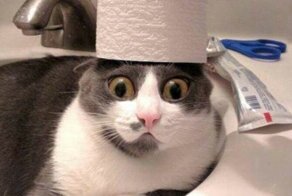 Прикольные фотографии - пятничный выпуск