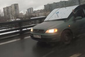 Люди, которые настолько бесстрашны, что даже и не задумываются о последствиях