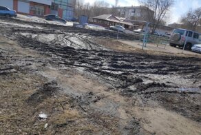Гряземесы или обычные свиньи.  И почему это становится нормой?