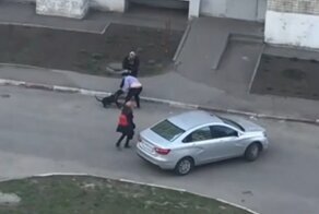 В Тамбове собака набросилась на хозяйку и защищавших её прохожих