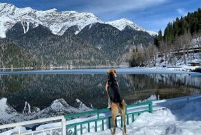 С добрым утром!