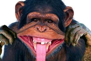 Очень старые анекдоты, но с картинками