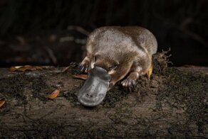 С добрым утром!
