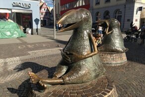 Что тут происходит?