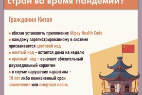Как живут граждане разных стран во время пандемии?