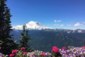 С добрым утром!