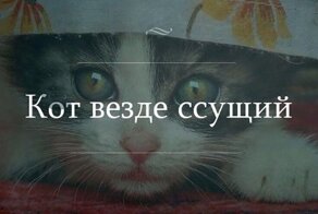 Смешные каламбуры, или Игра слов, которая поднимет вам настроение