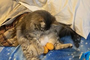 Фотоподборка