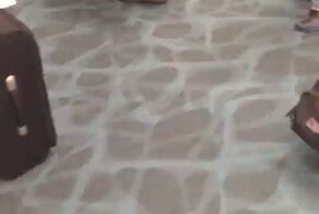 Сотни крабов выбежали из пассажирской сумки в аэропорту