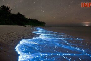 На побережье Южной Калифорнии появились «неоновые» волны