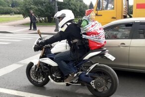 Мотовсячина