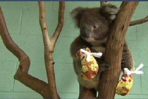 Двадцать позитивных историй, которые укрепят вашу веру в человечество