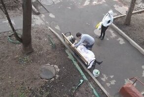 Во дворе столицы скончалась женщина, которую бросили социальные работники