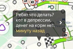 Россияне устроили по всей стране онлайн-митинг против самоизоляции
