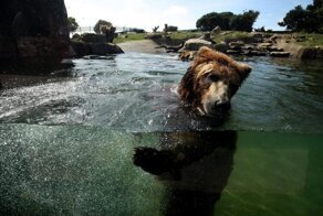 С добрым утром!