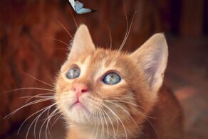 С добрым утром!