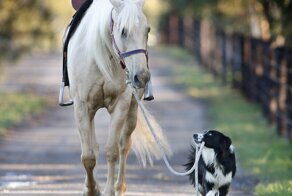 С добрым утром!