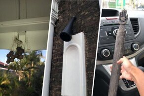 15 загадок из серии «Что это за штука мне попалась?»