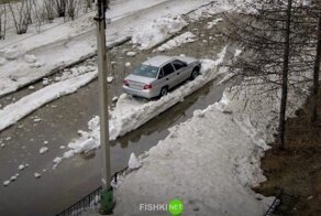 Подборка автомобильных приколов