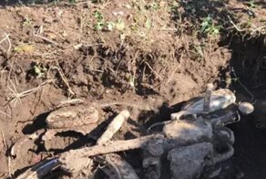В куче компоста мужчина обнаружил раритетный мопед 60-х годов