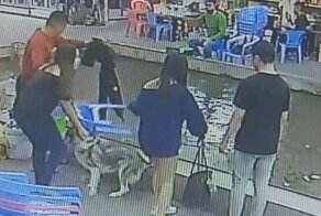 Привязанный к стулу пёс решил поплавать в бассейне