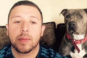 Питбуль привел домой беременную бездомную кошку и помог ей родить