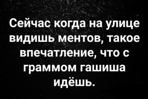 "Почему самоизоляцию нарушаем?": как полицейские в России стали мемом