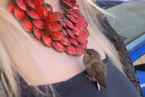 На миг почувствовала себя диснеевской принцессой