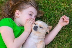 Собака – лучший друг ребенка: как уговорить родителей завести питомца