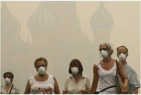 Потеют все: прогноз аномальной жары в России