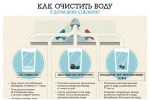 20 классных шпаргалок о всяком-разном, что нужно в этой жизни