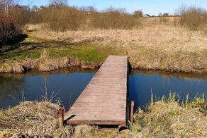 Самоизоляция на краю Подмосковья. Фоторепортаж из Фряново