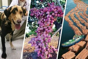 Подборка интересных фотографий