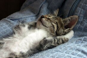 С добрым утром!