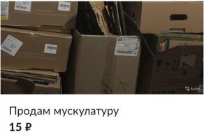Повышайте дискографию, сдавайте мускулатуру и болоктворитесть