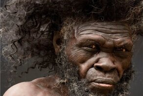 Как выглядели древние люди?