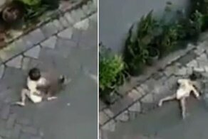 Обезьяна на мотоцикле попыталась выкрасть ребенка