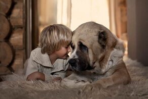 Россиянка создает потрясающие фотографии своих детей с животными в деревне