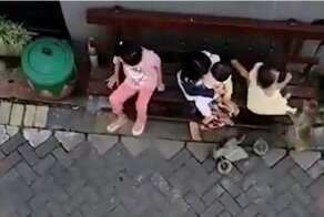Обезьяна пыталась украсть ребенка