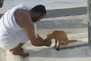 25 добрых и трогательных историй, от которых станет светлее на душе