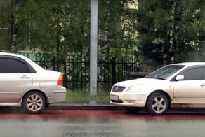 Жители одного из российских городов встревожены ручьями кровавого цвета