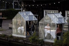 Голландский ресторан собирается посадить клиентов в теплицы