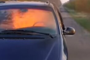 Заметая следы, банда лесорубов сожгла авто со спиленным дубом