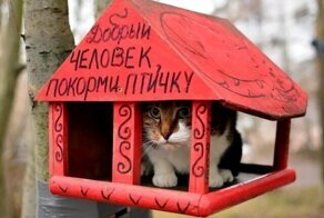 ФотоВсячина